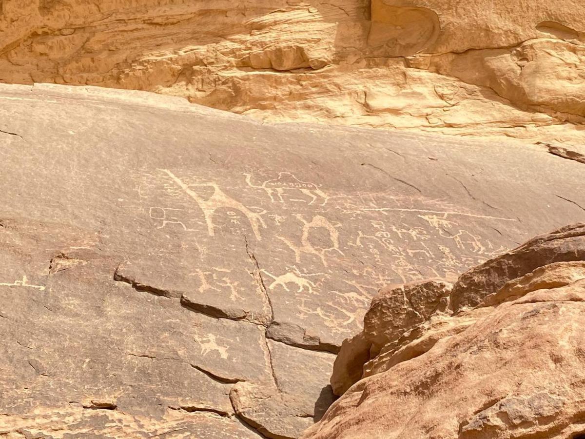 Wadi Rum Maracana Camp Εξωτερικό φωτογραφία