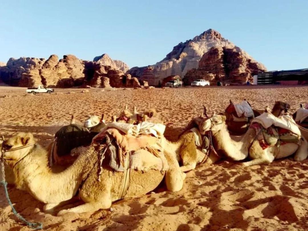 Wadi Rum Maracana Camp Εξωτερικό φωτογραφία